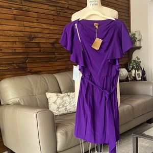Beautiful Ali Ro purple silk dress. New